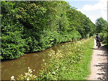 SO0627 : Taff Trail (NCN route 8) beside Monmouthshire & Brecon canal by Gareth James