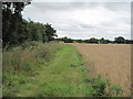 Longster Trail near Swinfordmill Farm