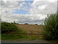 Barrier to cereal field South Kirkby