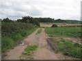 Footpath to the Road