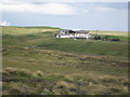 Woolly Hill Farm near Woodland