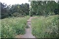 Footpath up the law