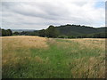 Footpath and Sandstone Ridge