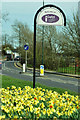 Bourne Road in bloom