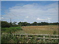 SE9106 : Abandoned field near Holme Hall by Jonathan Thacker