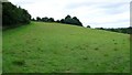 Fields Near Bradpole