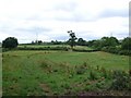 Fields at Lower Ash farm