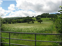 SO1022 : Fields near Brynoyre, Brecon Beacons by Gareth James