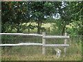 Two stiles and two hedges near Maynes Farm