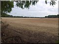 Harvested field near Newton Tony