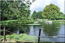 TL9369 : Mill Pond of Pakenham Watermill by Ashley Dace