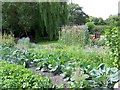 Well stocked garden, Ansty