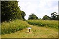 The site of Deddington Castle