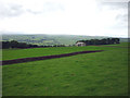 Pastures beside Edge Lane