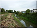 A walk along the River Hull #35