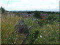 Churchyard View