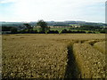 Farmland near East Farm