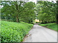 Salents Lane heading east, Birdsall