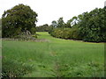 Footpath  to  Walkington