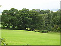 Farmland near Acklam