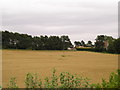 Farmland near High Sleights Farm