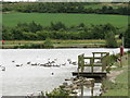 The Lake, Poolsbrook Country Park