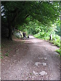 ST0897 : Taff Trail / Trevithick Trail near Pont y Gwaith by Gareth James