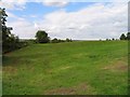 Bumpy fields near to Rotherby