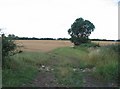 Footpath towards Melton Mowbray