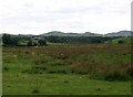 View across marshland towards Bachellyn Farm