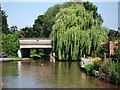 Egg Bridge No.119, Shropshire Union Canal