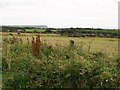 SH2832 : Farmland south of the Llaniestyn road by Eric Jones