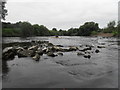 Ancient Fish Weir - River Severn