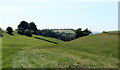 2010 : Dry valley south of Stowey