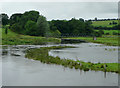 The Afon Teifi north-west of Tregaron, Ceredigion