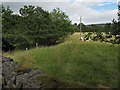 Riverside fencing at Dibble Bridge