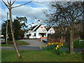 Spring View of Bank House pub, Hixon, Staffordshire