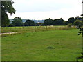 Site of Medieval Village, Hartley Mauditt