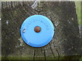 Plastic survey mark disc