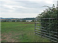 Field above the River Severn near Etloe