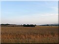 Ploughed Moors