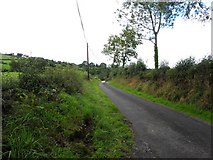 H5929 : Road at Cornafaghy by Kenneth  Allen