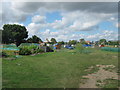 Beaver Road Allotments