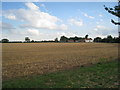 View back towards Luddington from Garthorpe Road