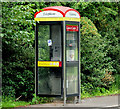 Roadside telephone box near Banbridge