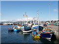 Q4400 : Dingle Harbour by Adrian King