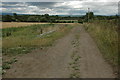 Track and footpath at Coombe Hill