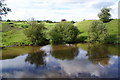 Pond near Benfield