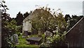 O2328 : Saint Mochanna's Church and graveyard, Carrickbrennan, opposite Monkstown Castle by Joan and Max Wellman