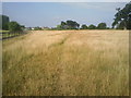 Footpath near Home Close Farm, North Cray